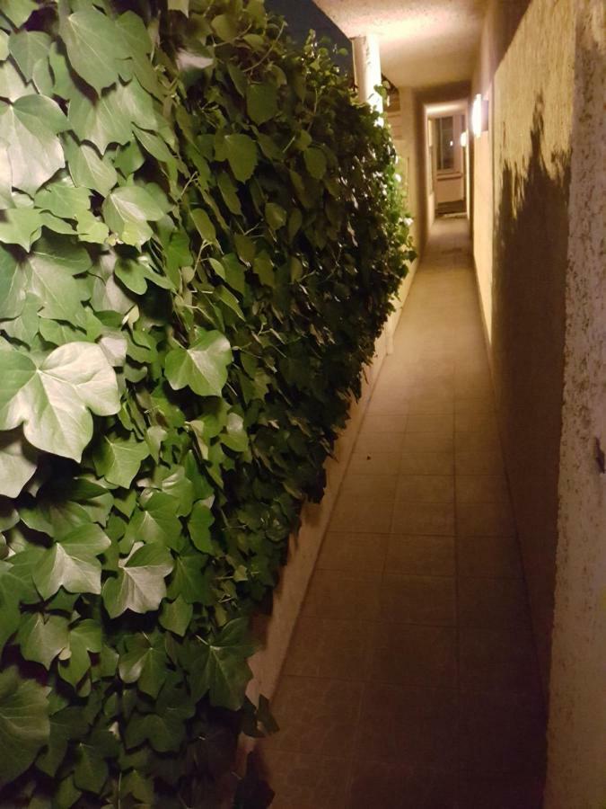 Studio Bordeaux St Augustin Dış mekan fotoğraf